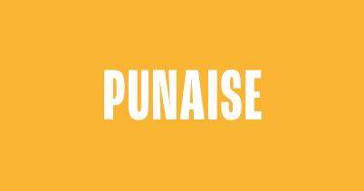 PUNAISE_SITE_WEB